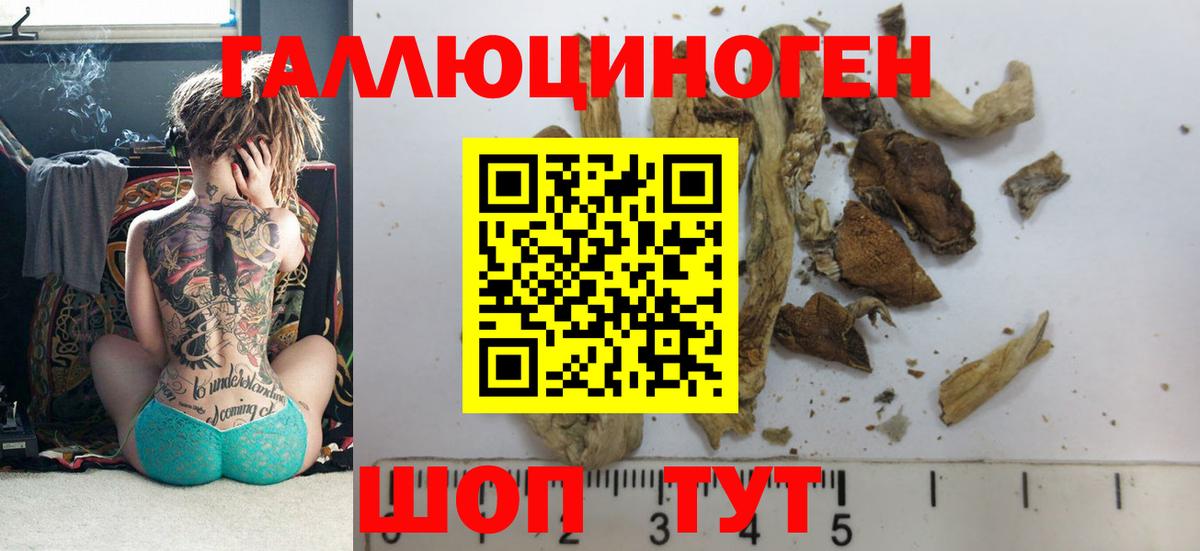 Галлюциногенные грибы мицелий  Вход с VPN  Псилоцибиновые грибы мухоморы  Ленинск-Кузнецкий 